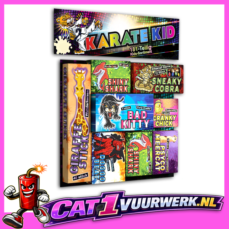 KARATE KID PAKKET