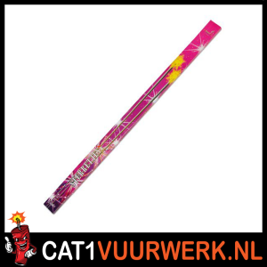 STER GROOT